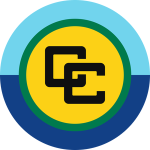 eSIM Flag