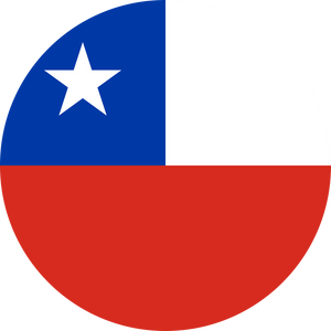 eSIM Flag