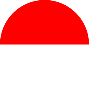 eSIM Flag