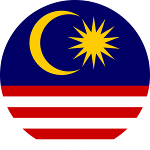 eSIM Flag
