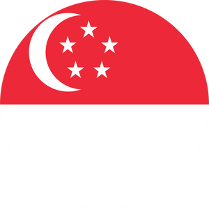 eSIM Flag