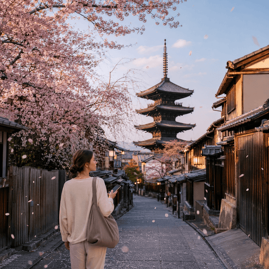 Japan eSIM