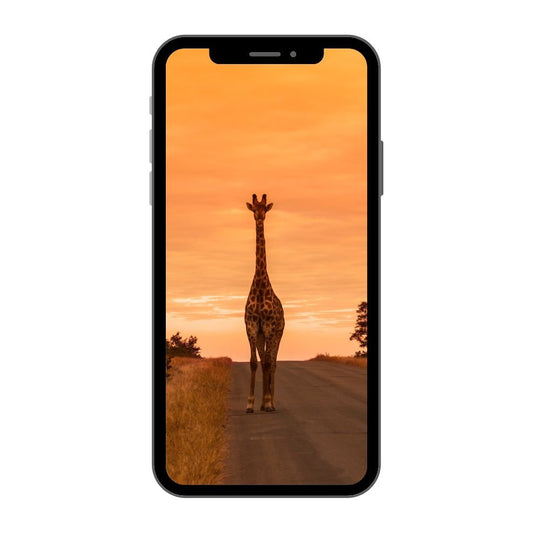 South Africa eSIM