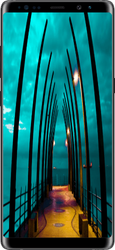 SouthAfricaF_aaa6c460-7b6a-42f3-867d-ba50edd97ab7