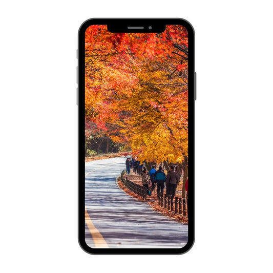 South Korea eSIM