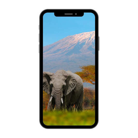 Tanzania eSIM