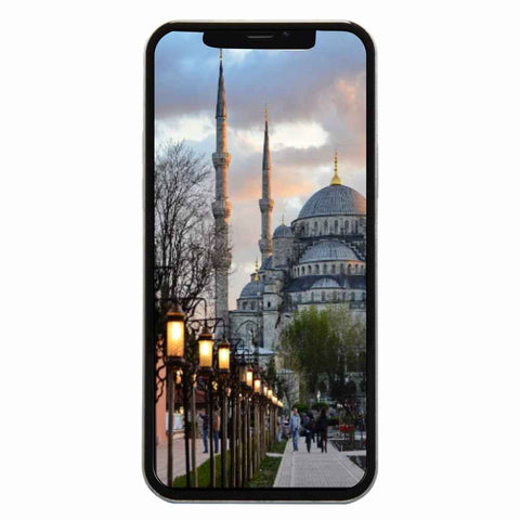 turkey