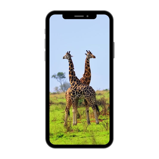 Uganda eSIM
